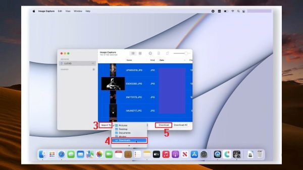 Nhấn Import To, chọn thư mục đích, nhấn Download