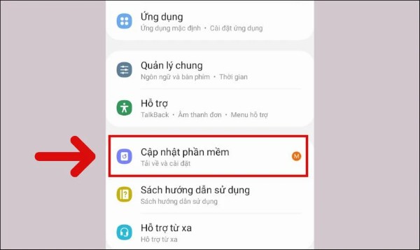 Chọn Cập nhật phần mềm